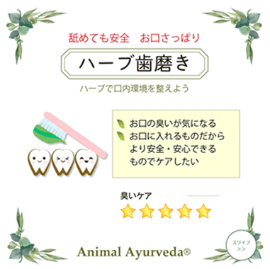 ハーブ歯磨き